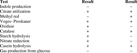 bacillus subtilis biochemical tests|Isolation, identification and characterization of novel Bacillus.